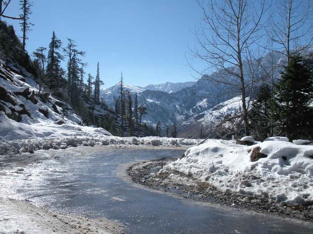 Photo of Charming Shimla and Manali