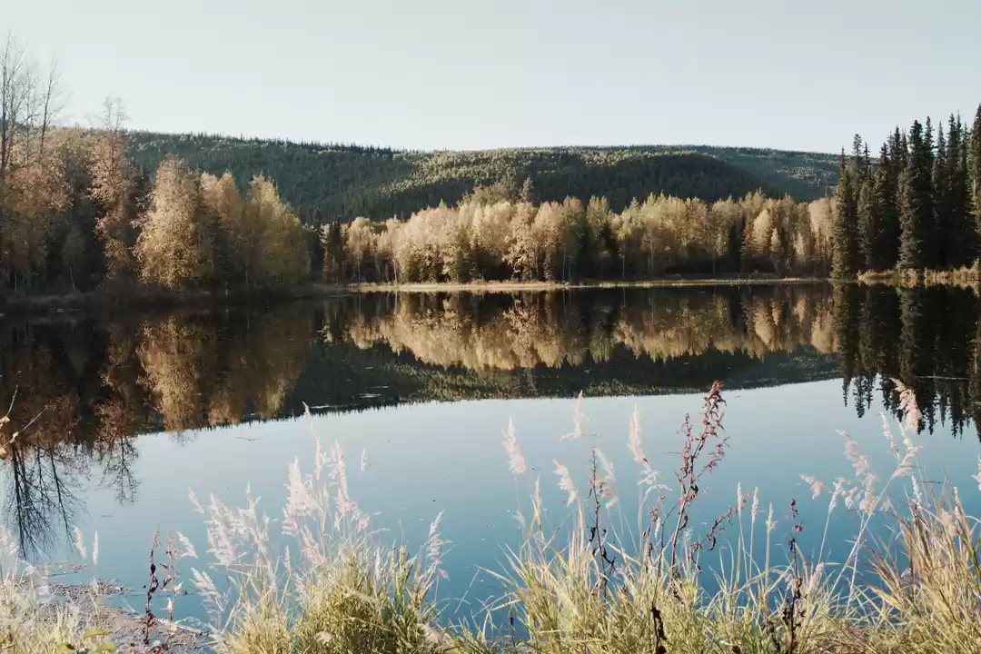 Photo of Chena Hot Springs Road