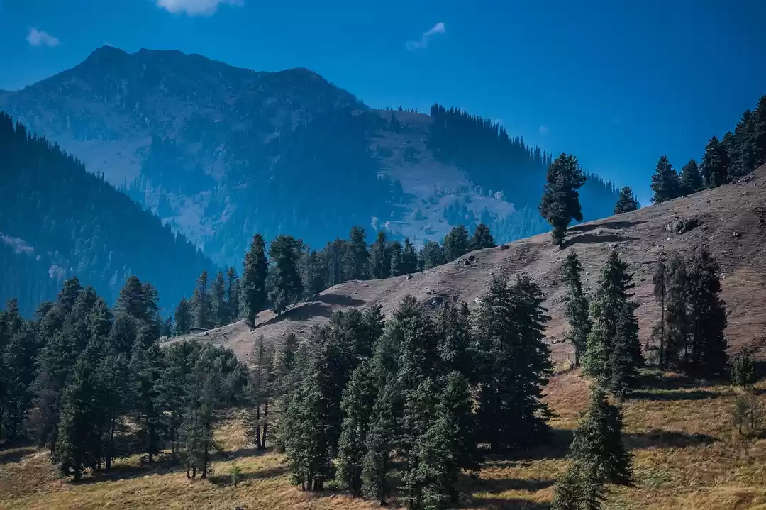 Photo of Touring Srinaga
