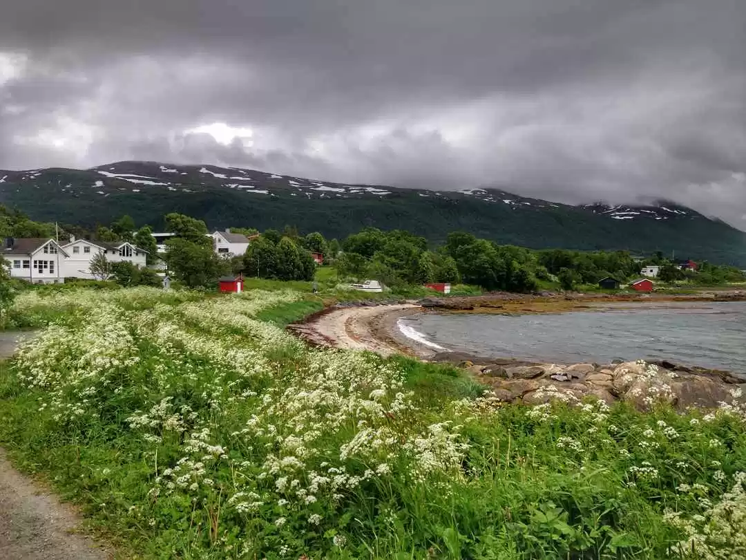 Photo of Telegrafbukta