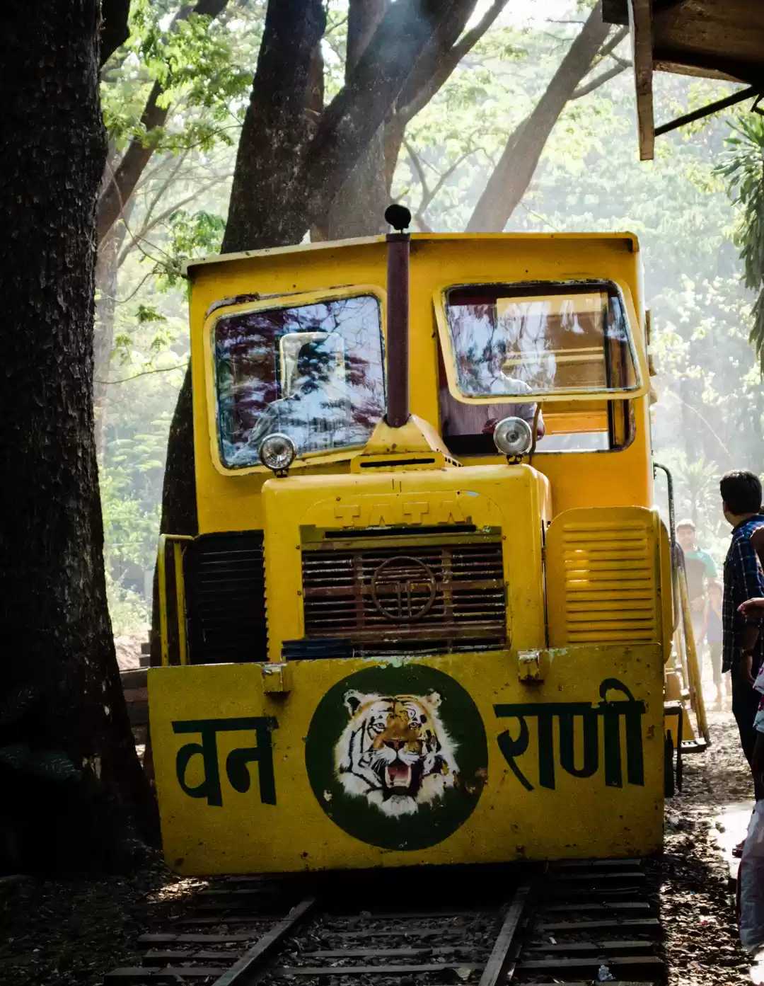 Safari Au Parc National Sanjay Gandhi