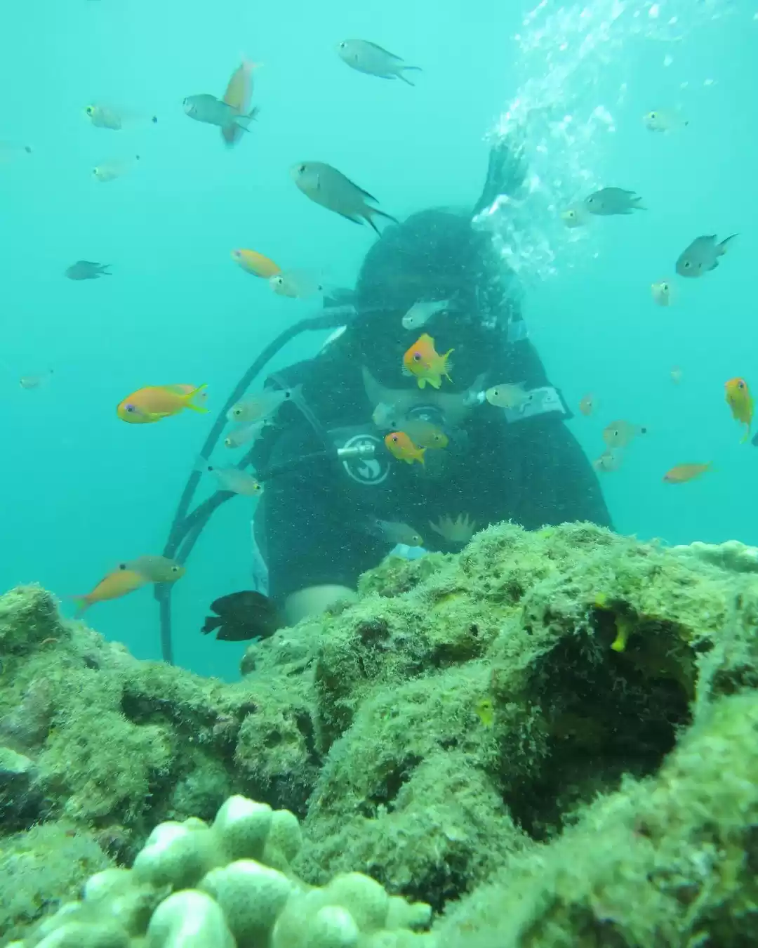 Photo of North Bay Island Andaman