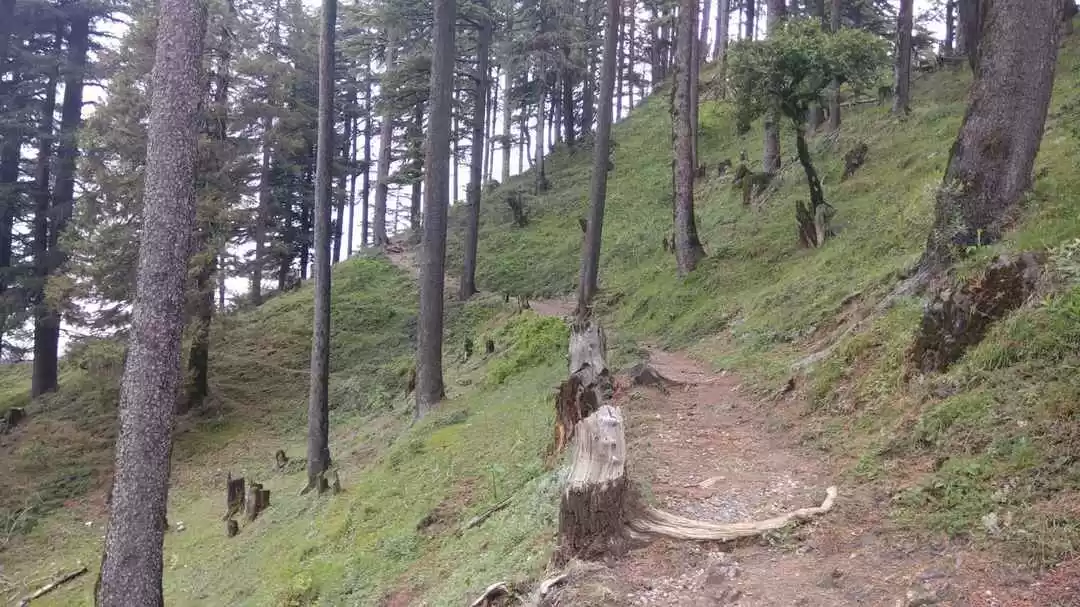 Photo of Budher Caves