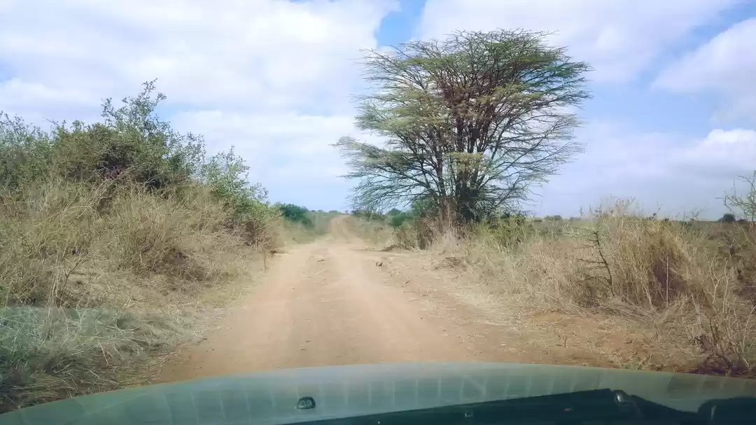 Photo of Nairobi National Park