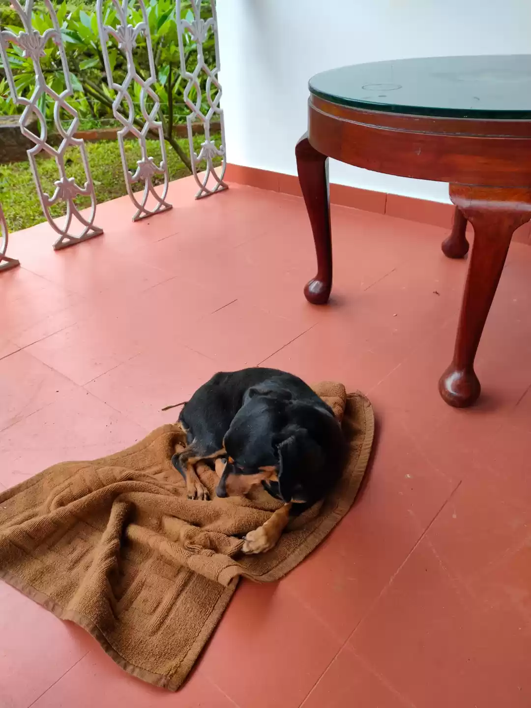 Photo of Chikkamagaluru and T