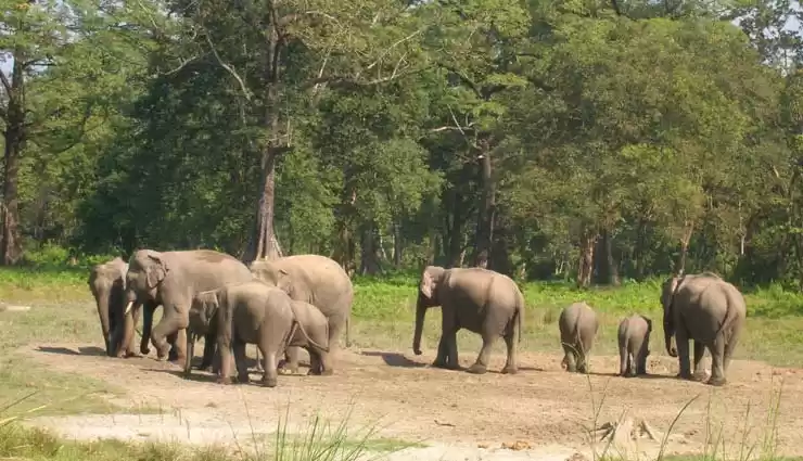 Photo of Kudremukh Park
