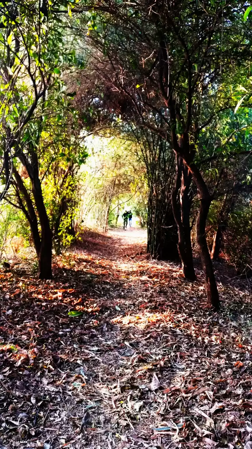 Photo of Gavier Lake