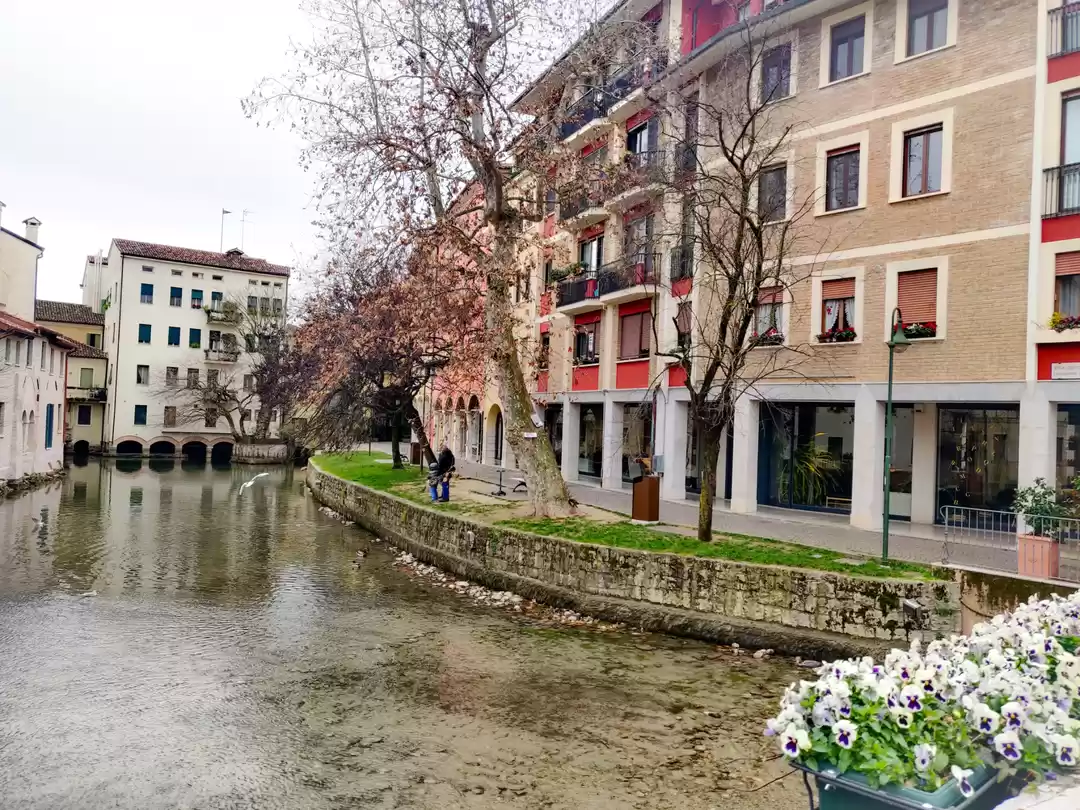 Photo of Treviso