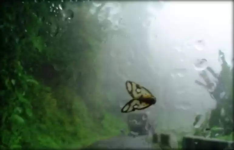 Photo of भालुकपोंग की रहयमय ब