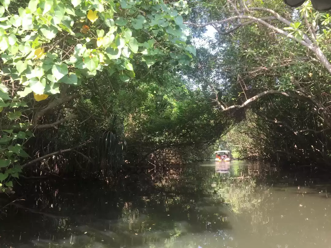 Photo of Poovar Backwater Cruise