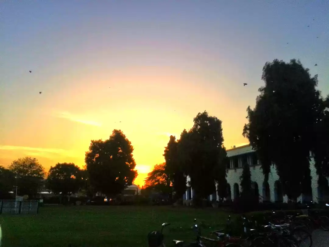 Photo of Birla Institute of Technology and Science (BITS)