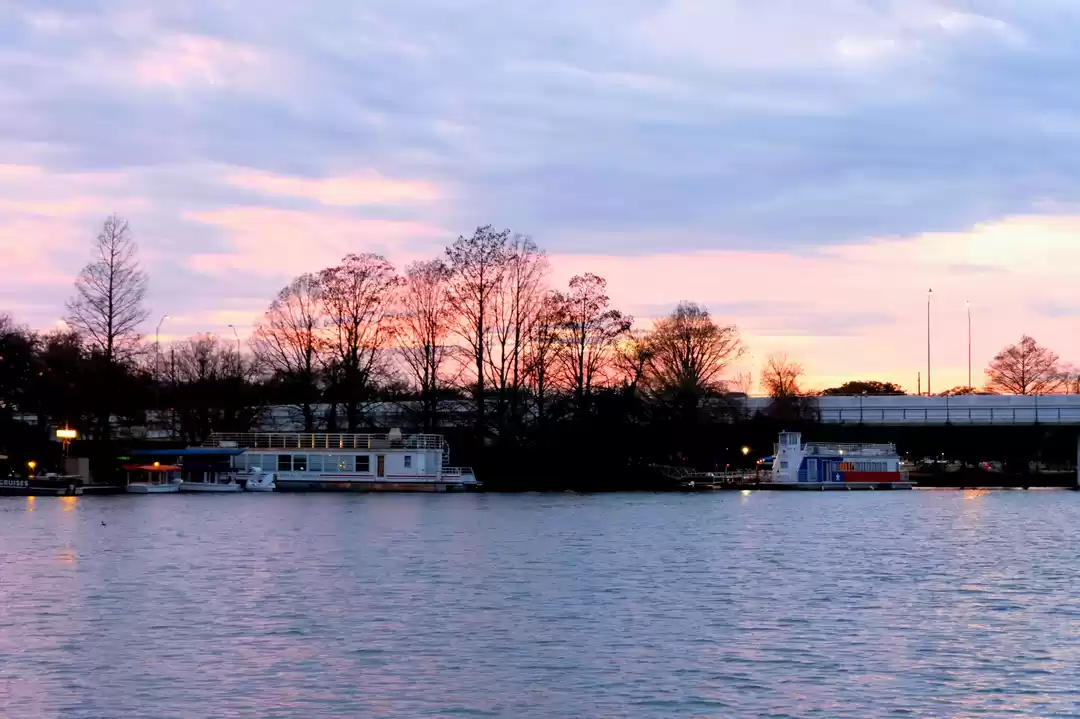 Photo of Lady Bird Lake