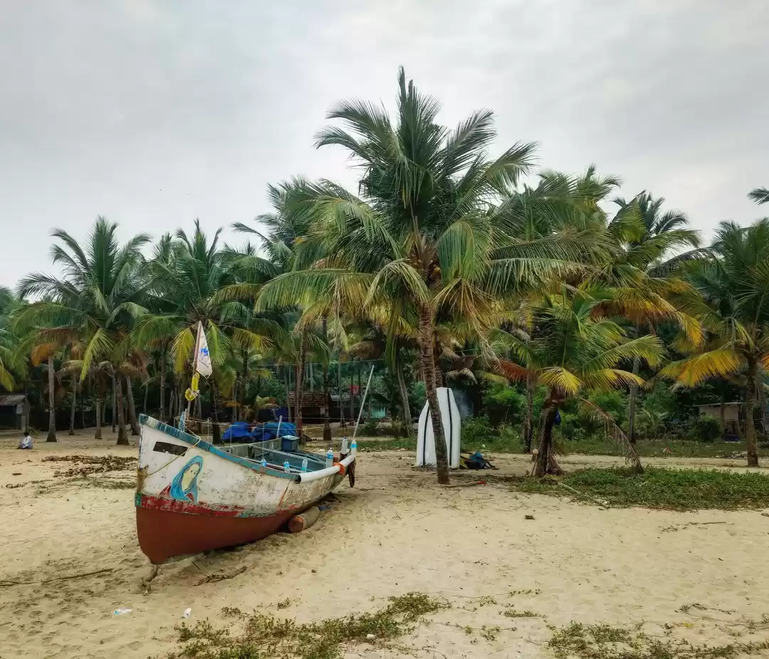 Photo of Marari Beach