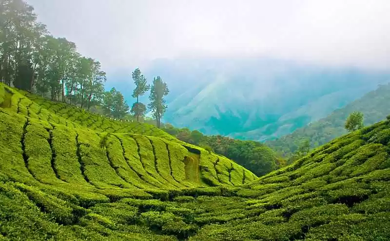 Image 1 of Kerala - God's Own Land