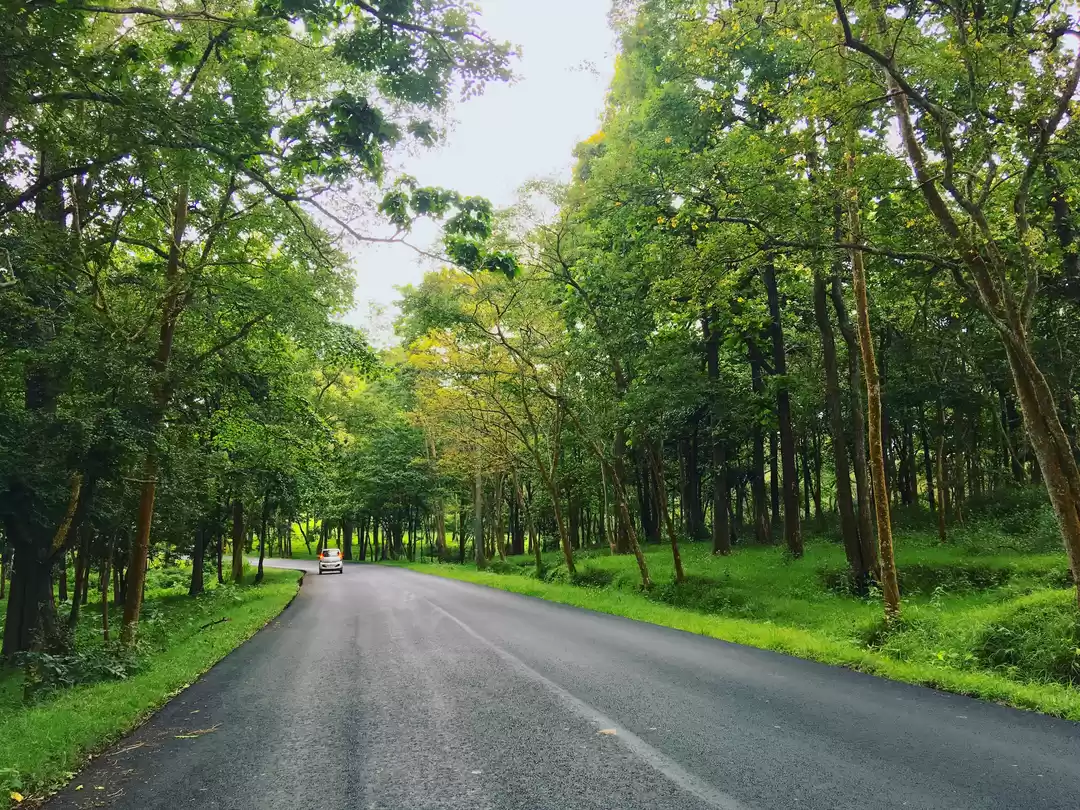 Photo of Thangal Hill