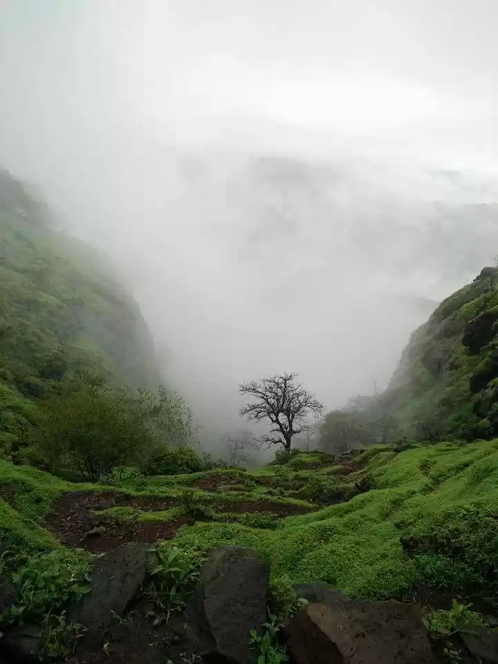 Photo of Raigad Fort