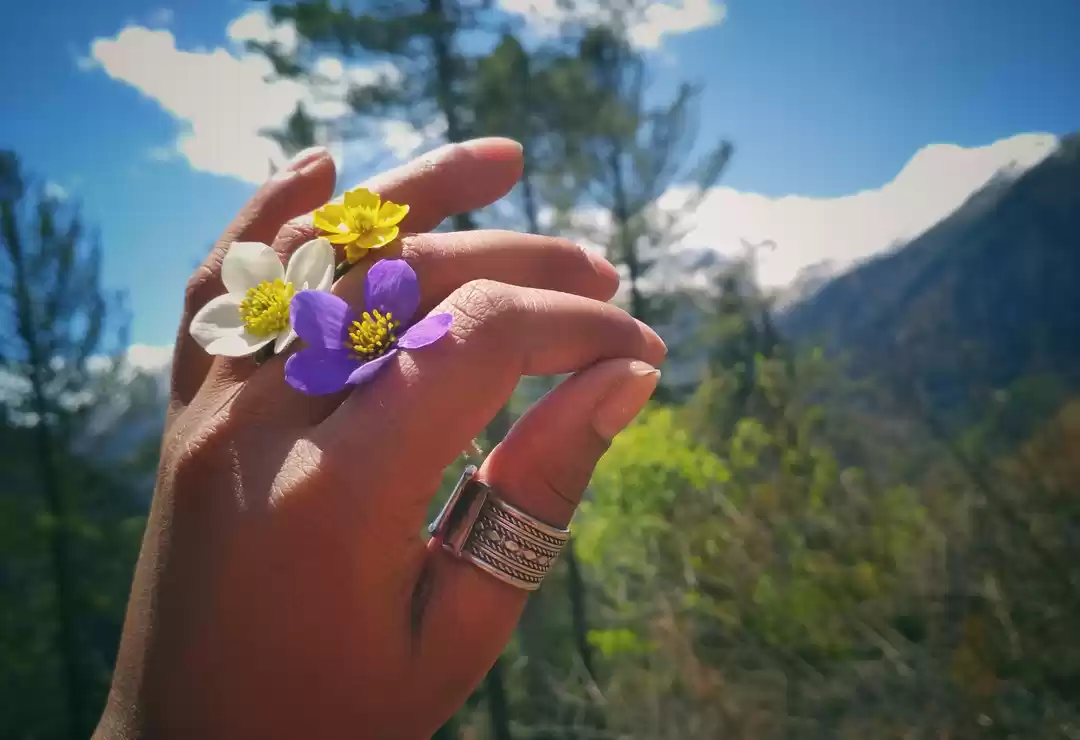 Photo of Har Ki Doon Valley