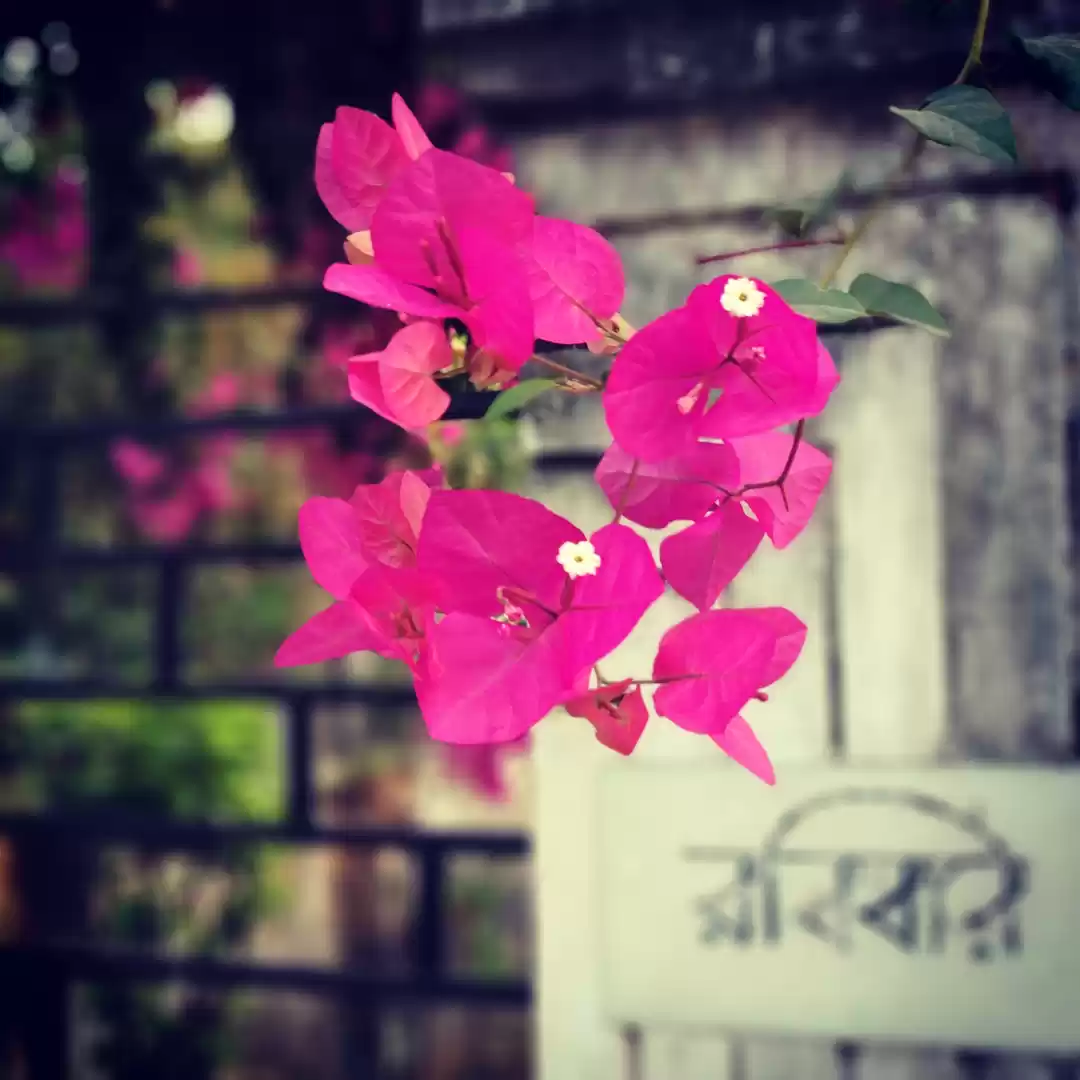 Photo of Santiniketan