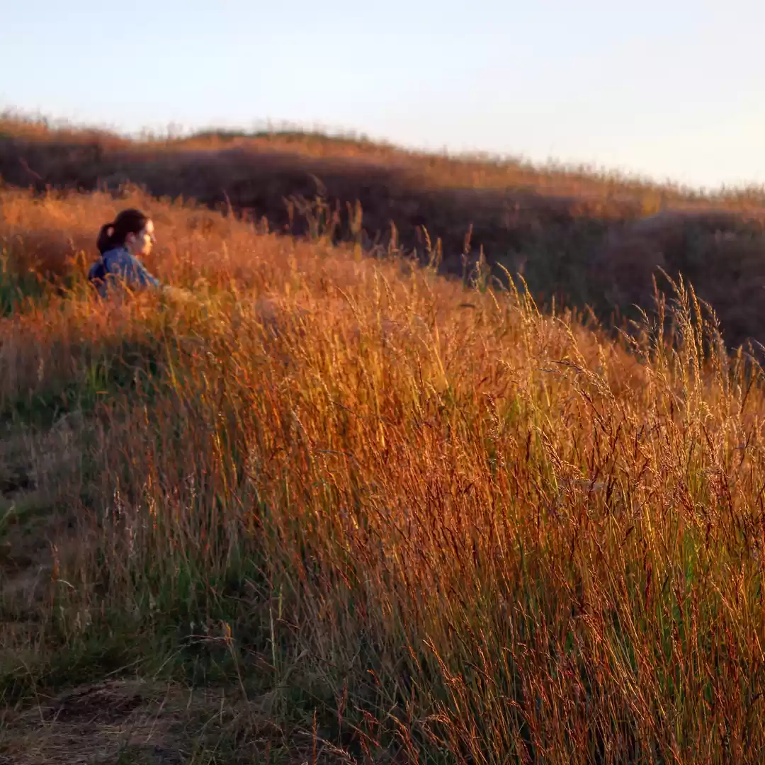 Photo of Arthur's Seat