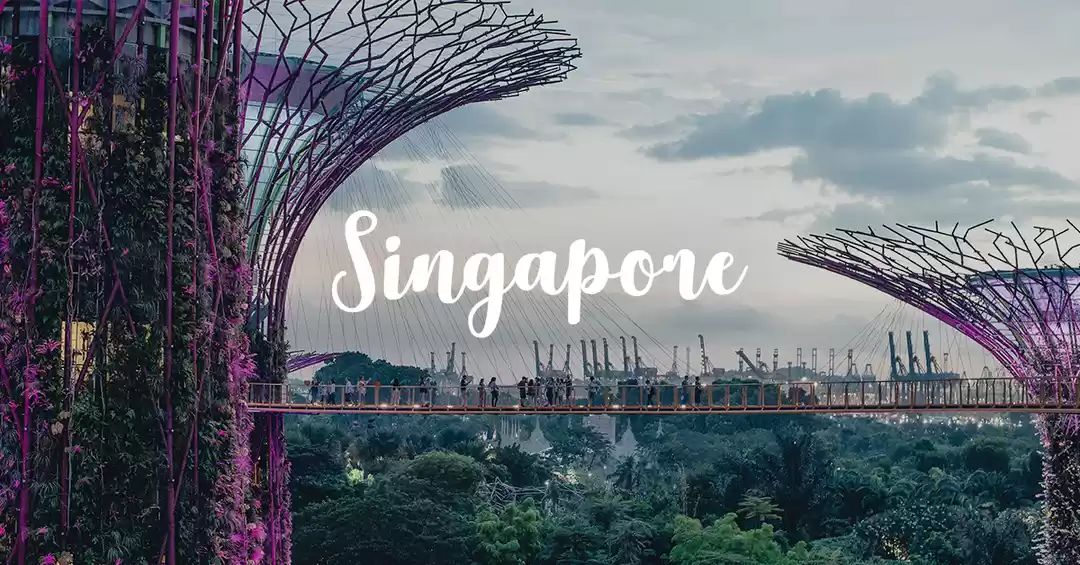 Image 1 of Simply Singapore