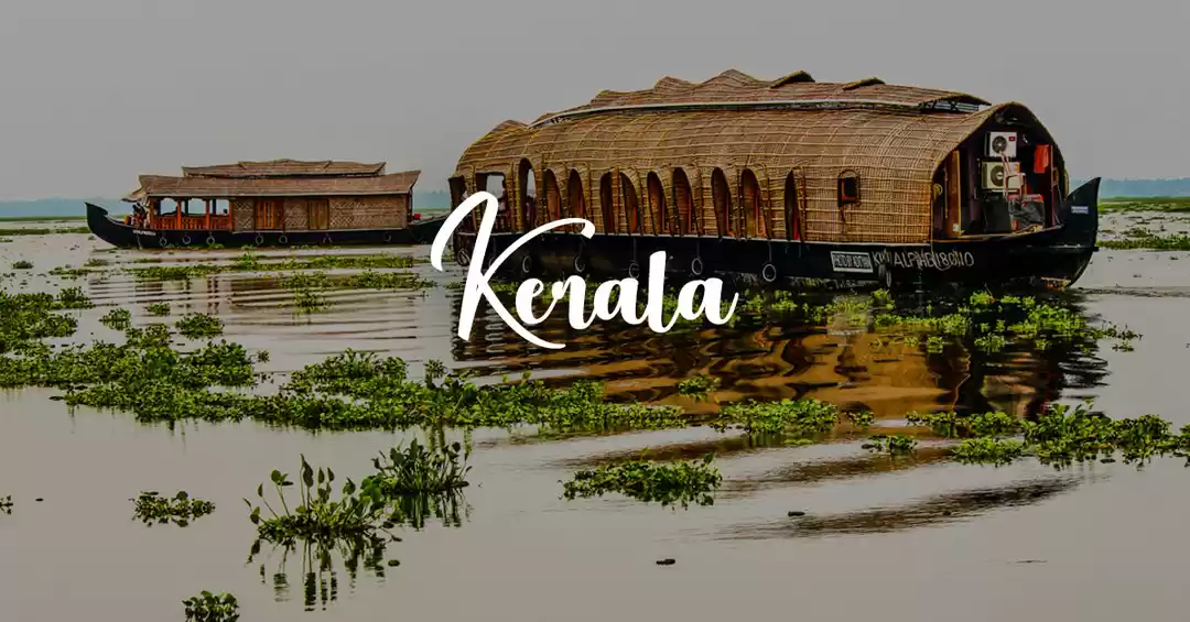 Image 1 of Breathtaking Kerela