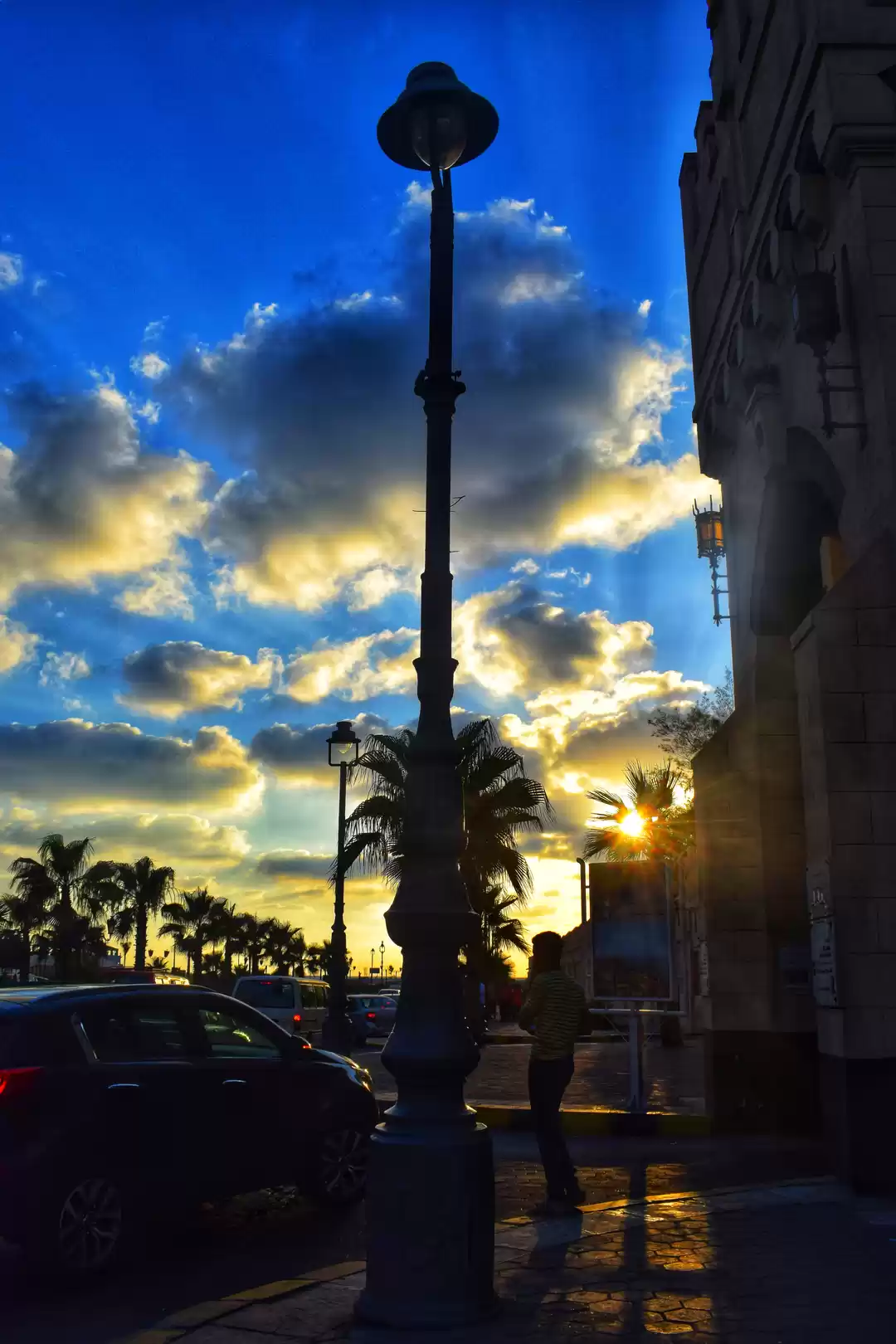 Photo of Alexandria