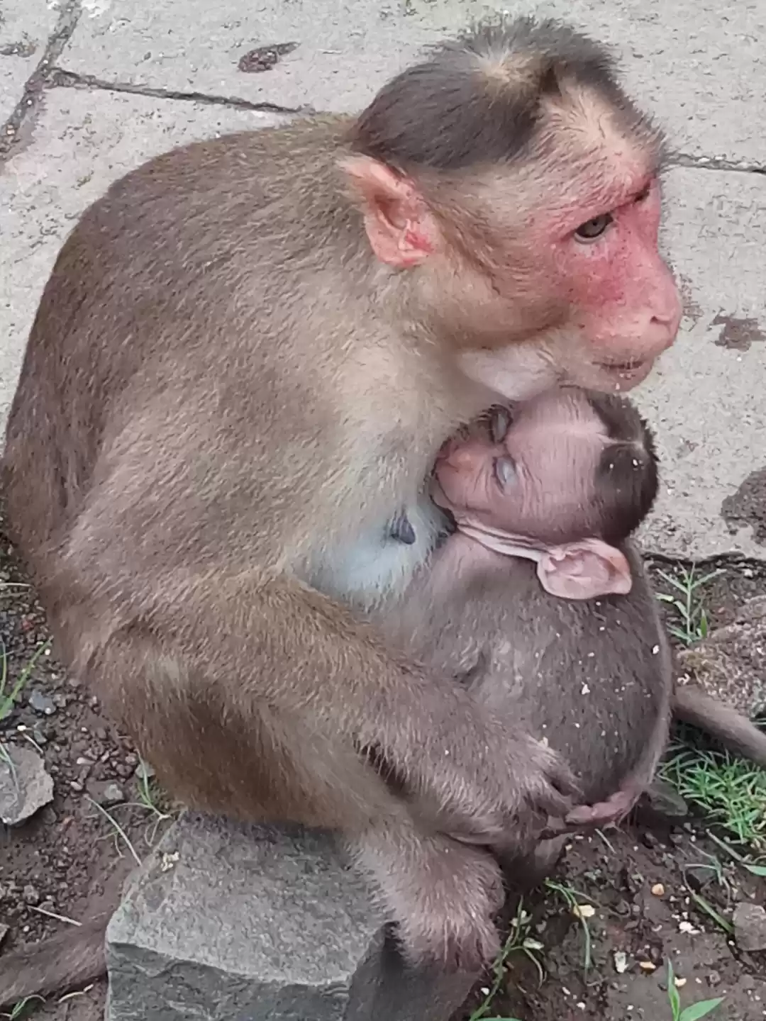 Photo of Elephanta Caves