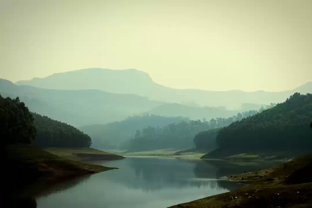 Photo of Idukki Dam Road
