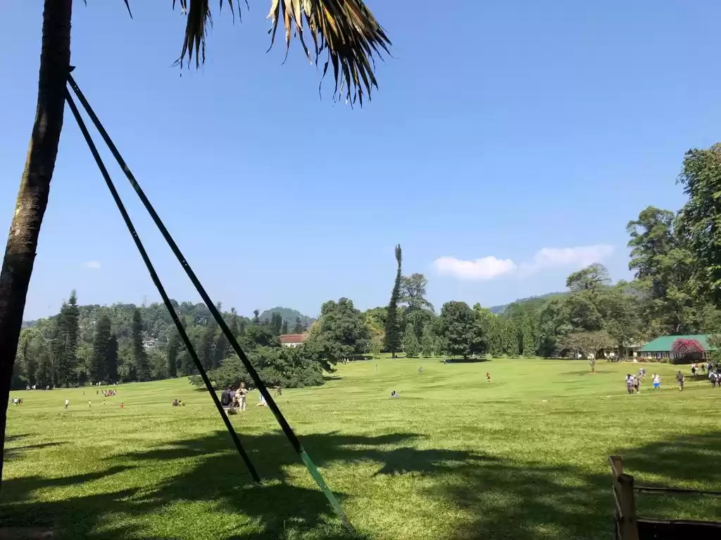 Photo of Royal Botanic Gardens