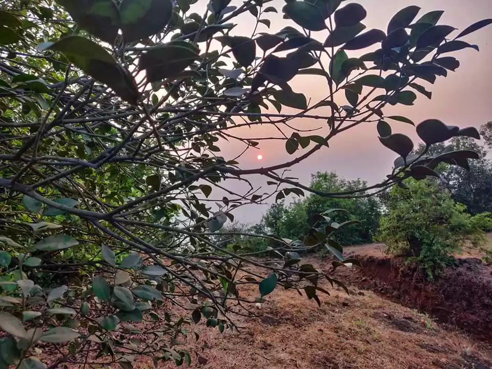Photo of Garbett Plateau