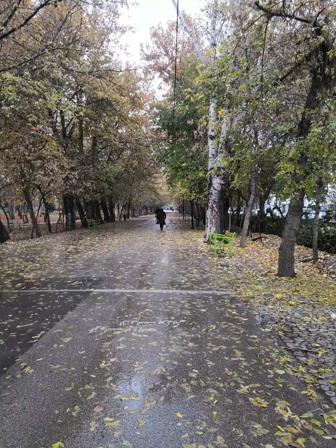 Photo of Mashhad