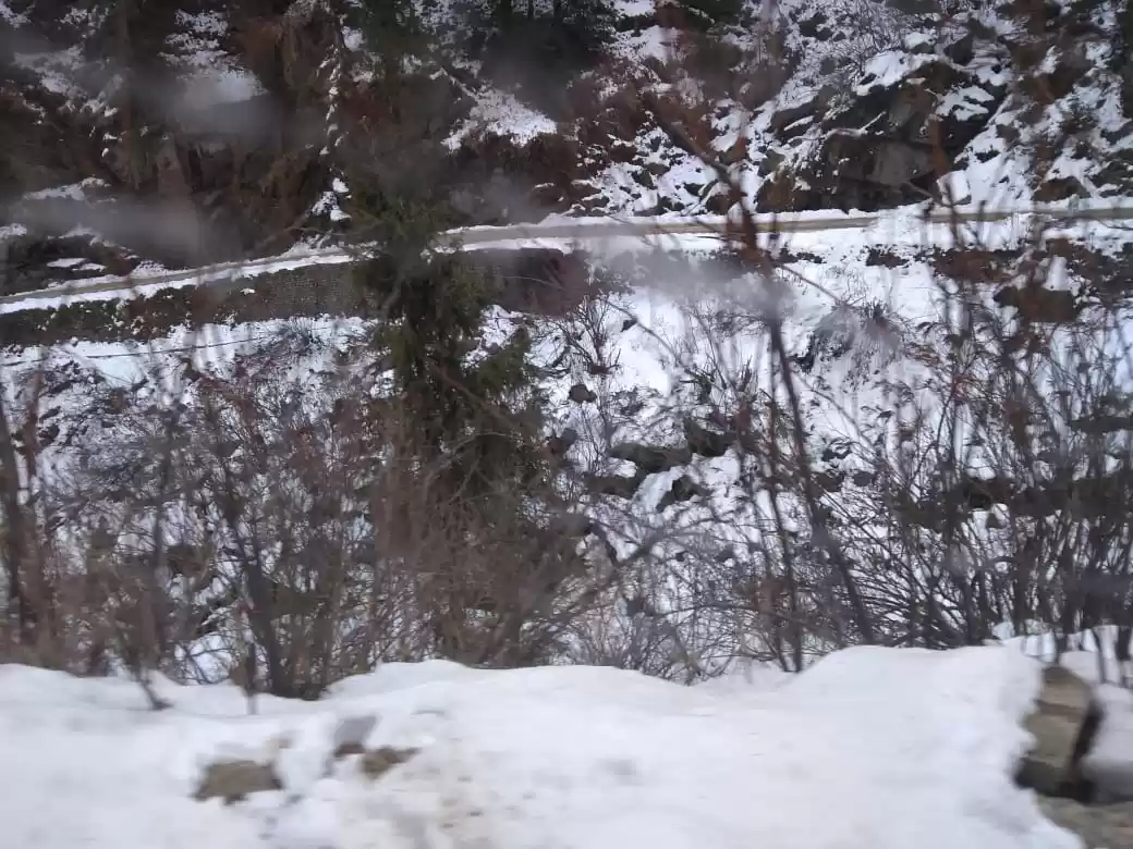 Photo of Subhash Chowk Road