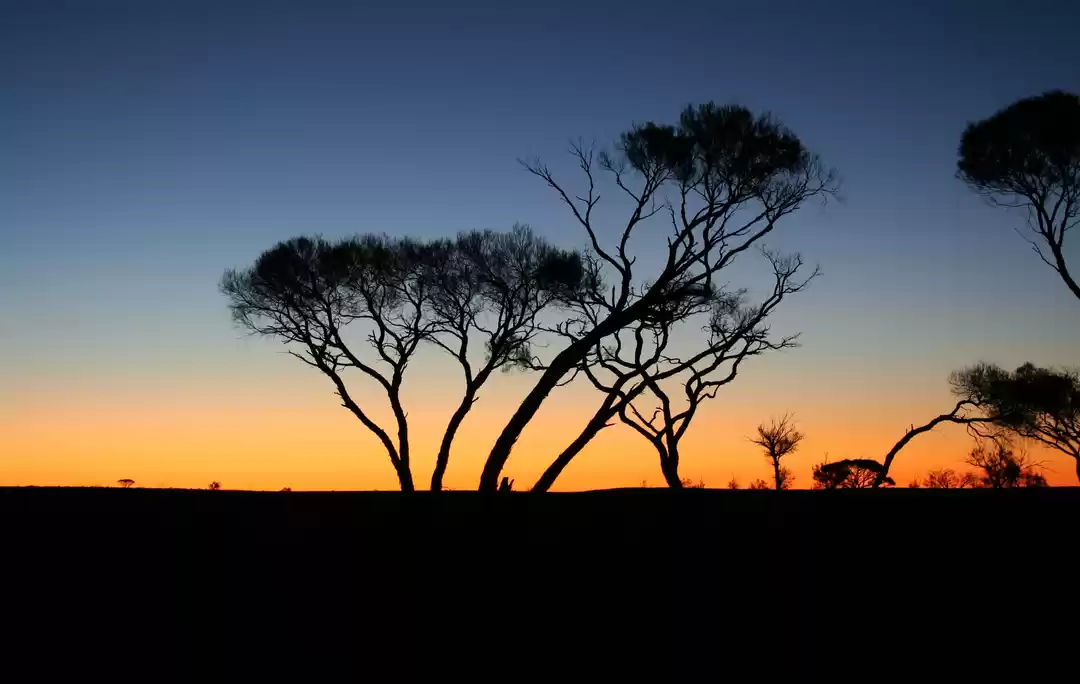 Photo of Serengeti National Park