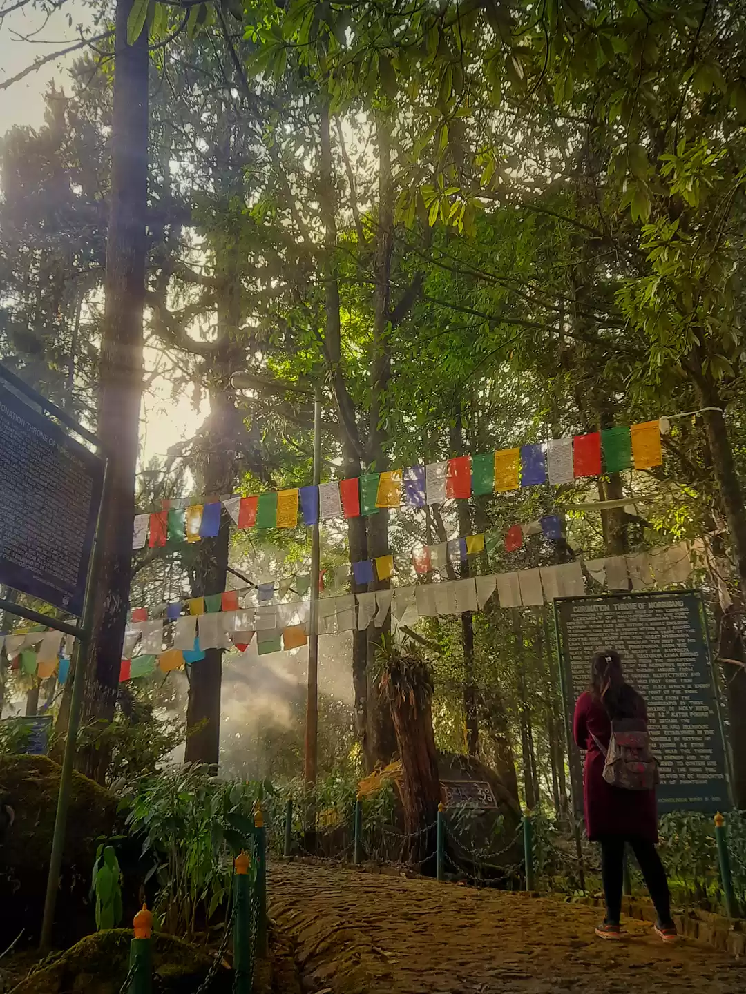 Photo of Norbu gang