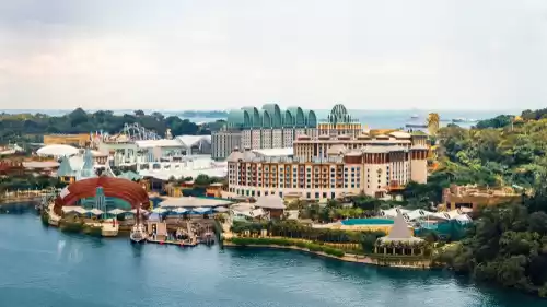 Photo of Retail Therapy: