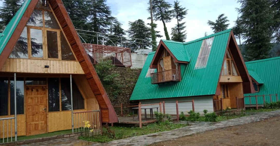 Photo of Alpine Wood