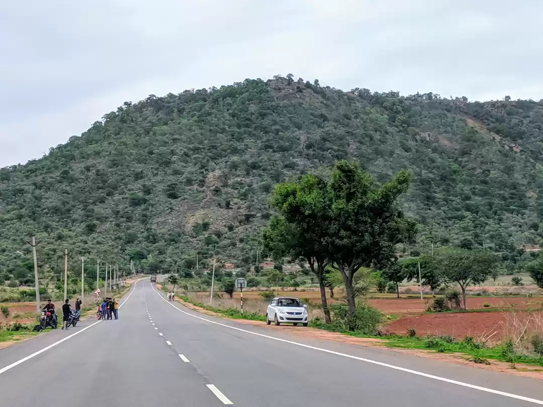 Photo of Amrabad Tiger Reserve