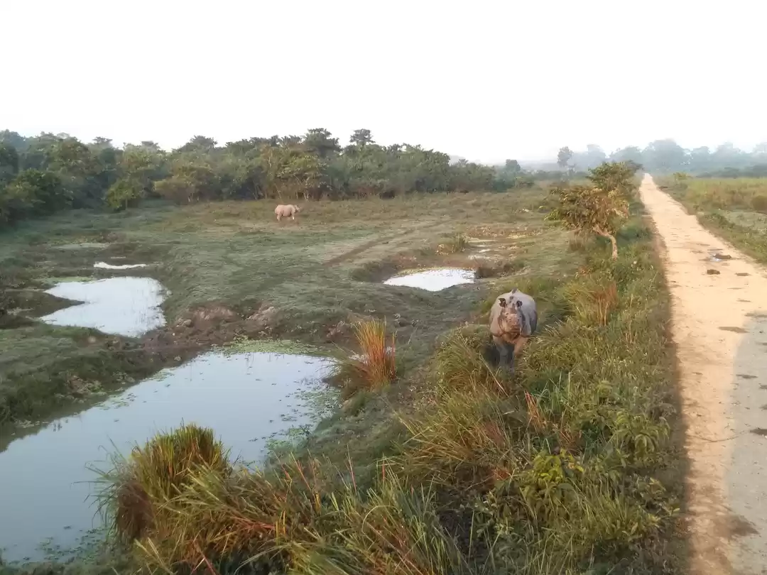 Photo of Kaziranga National Park Western Range (Bagori)