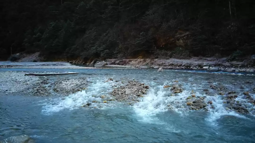 Photo of Yumthang Valley - Tamu Tour and Treks
