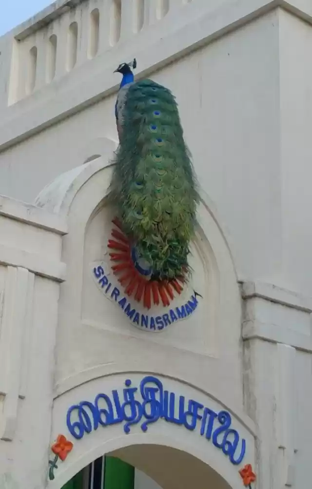 Photo of Golden Ramana in Sri Ramanasramam