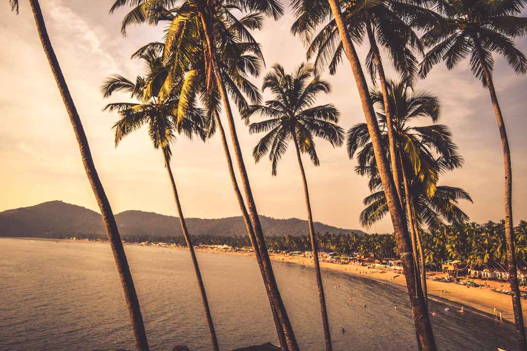 Photo of Pearl of Orient Goa