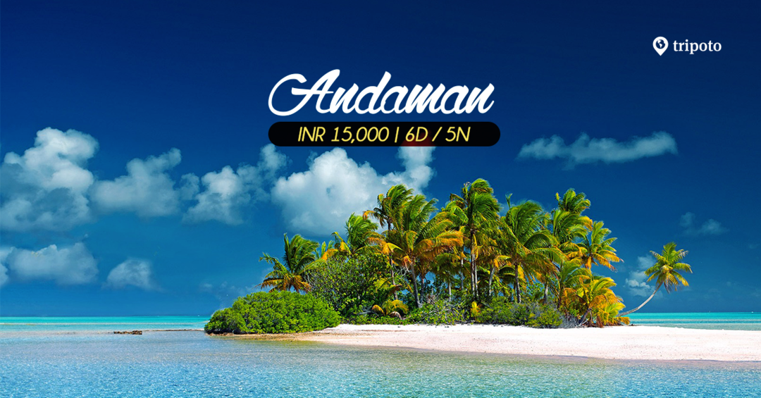 Photo of Andaman Tour Packages