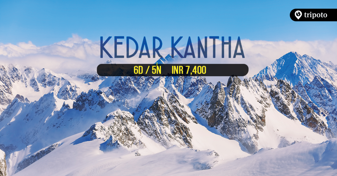 Photo of Trek To Kedarkantha