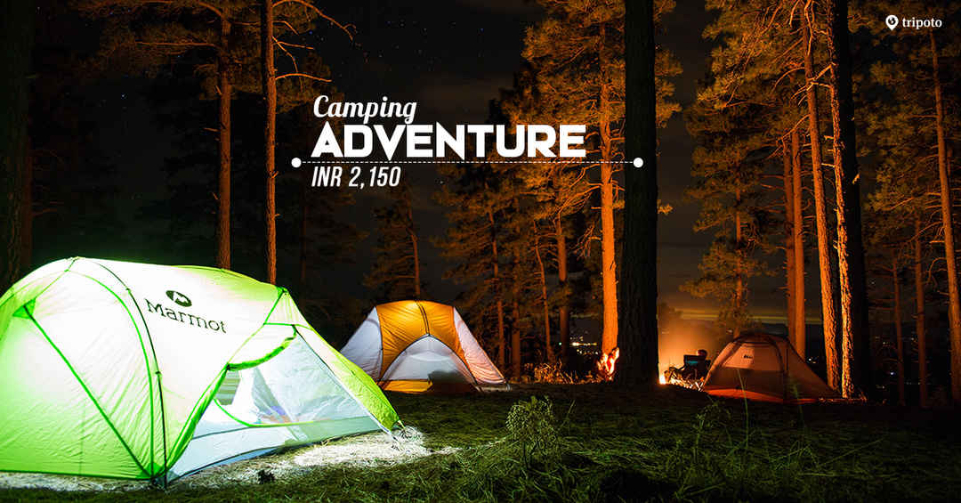 Photo of Bikamp Aravallis Camp 