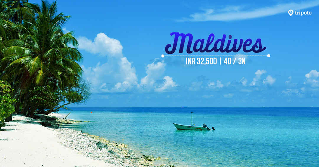 Photo of Escape To Maldives