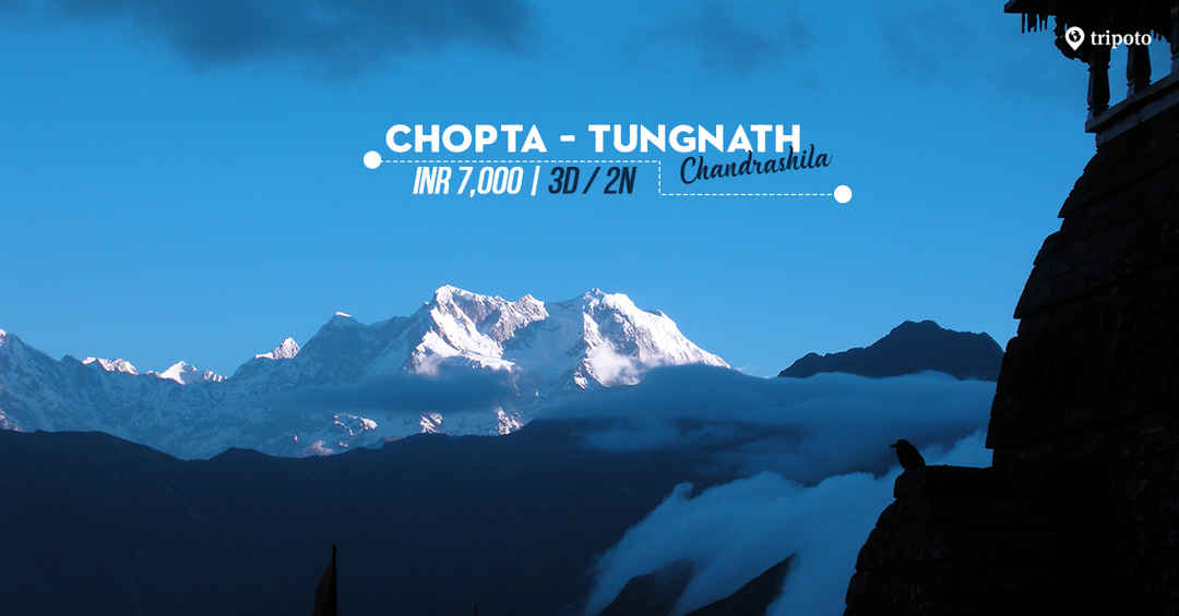 Photo of Trip to Chopta