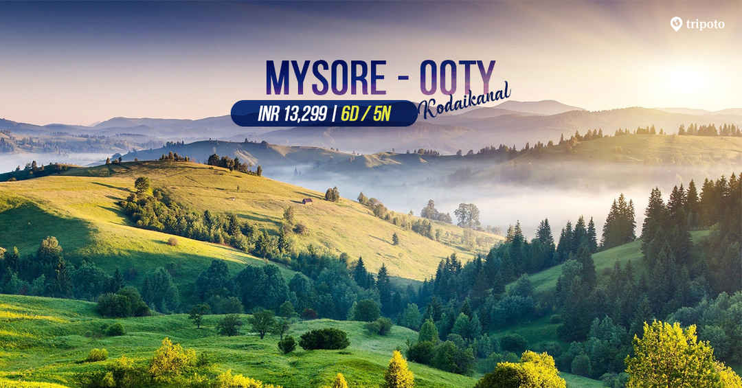 Photo of South India Highlights