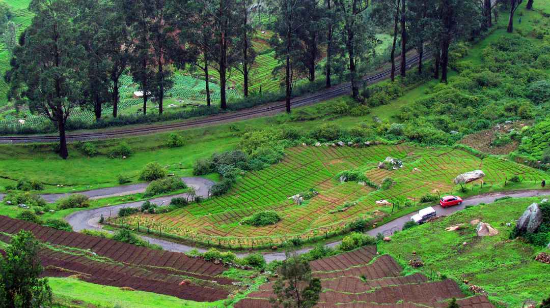 Photo of Holiday in Ooty
