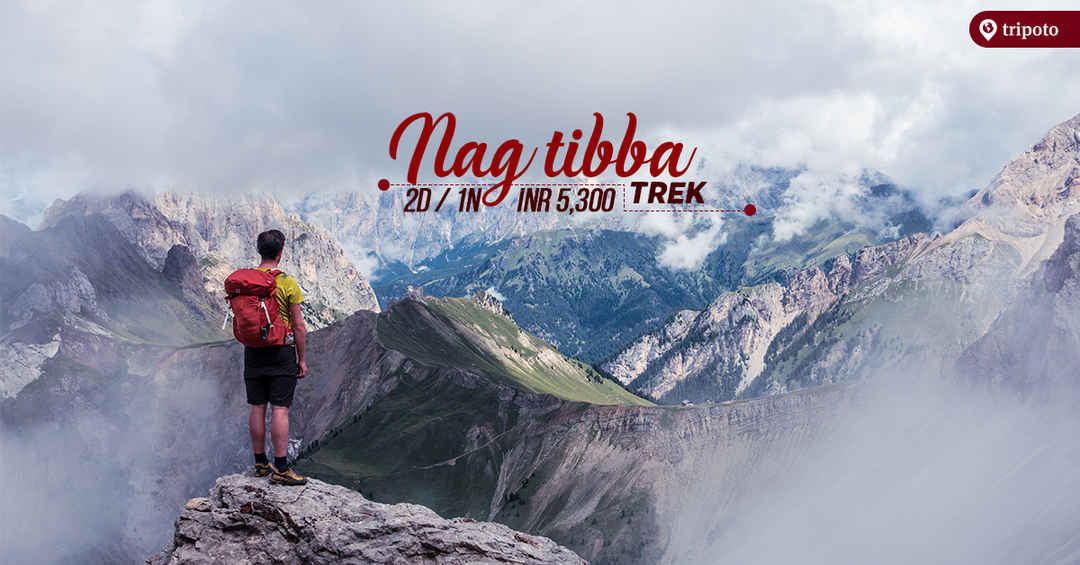 Photo of Trek to Nag Tibba