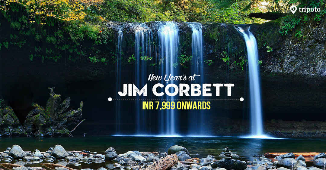 Photo of Escape to Corbett - New Year Special